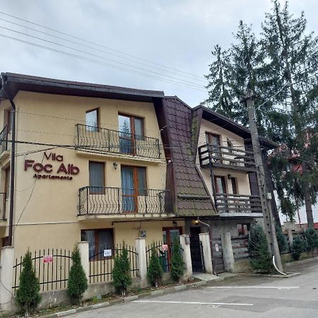 Vila Foc Alb Apartamente-Buşteni Esterno foto