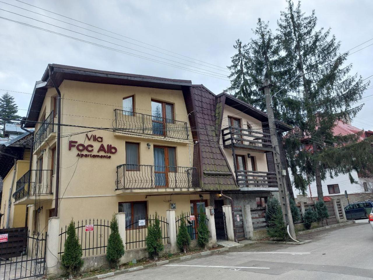 Vila Foc Alb Apartamente-Buşteni Esterno foto