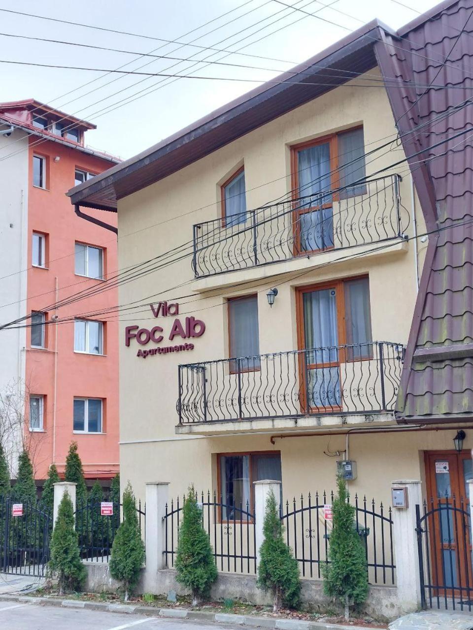 Vila Foc Alb Apartamente-Buşteni Esterno foto