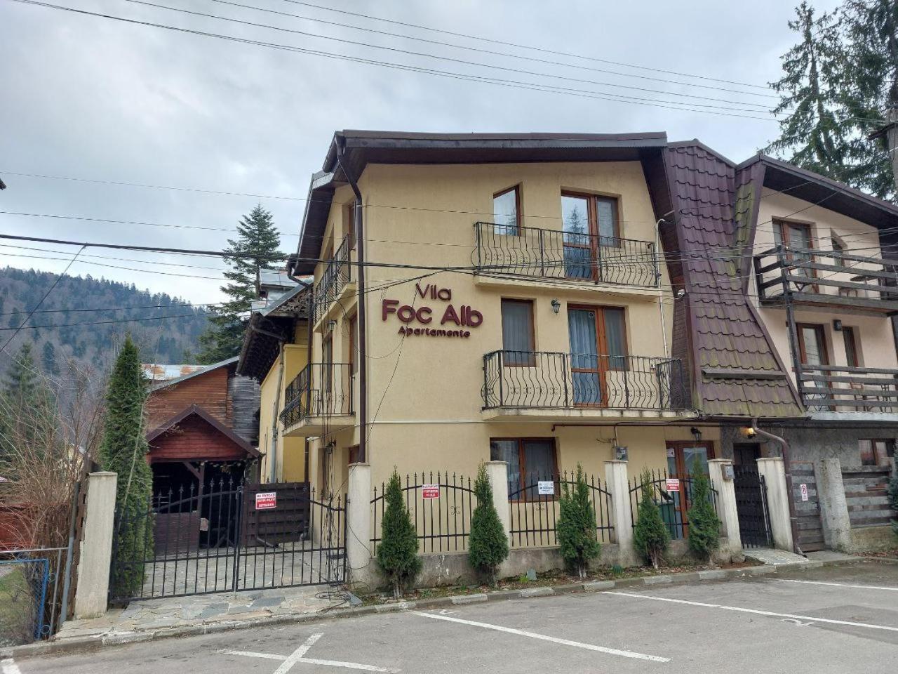 Vila Foc Alb Apartamente-Buşteni Esterno foto